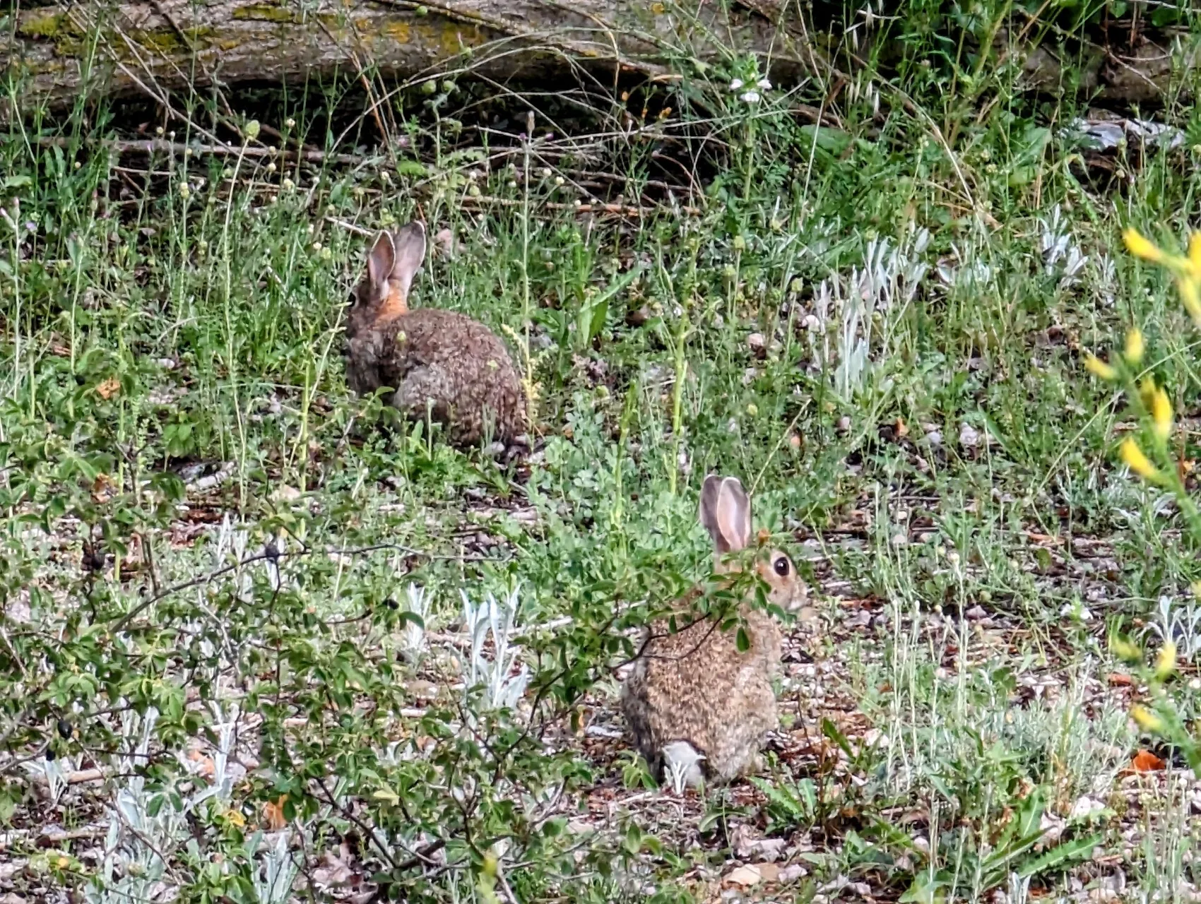 Etappe 68: Granja Muedra ⇒ Magaz de Pisuerga - foto 2