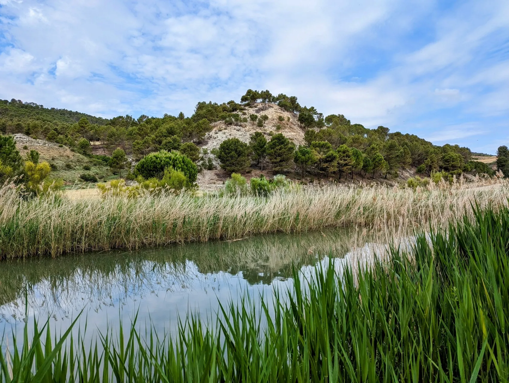 Etappe 68: Granja Muedra ⇒ Magaz de Pisuerga - foto 3