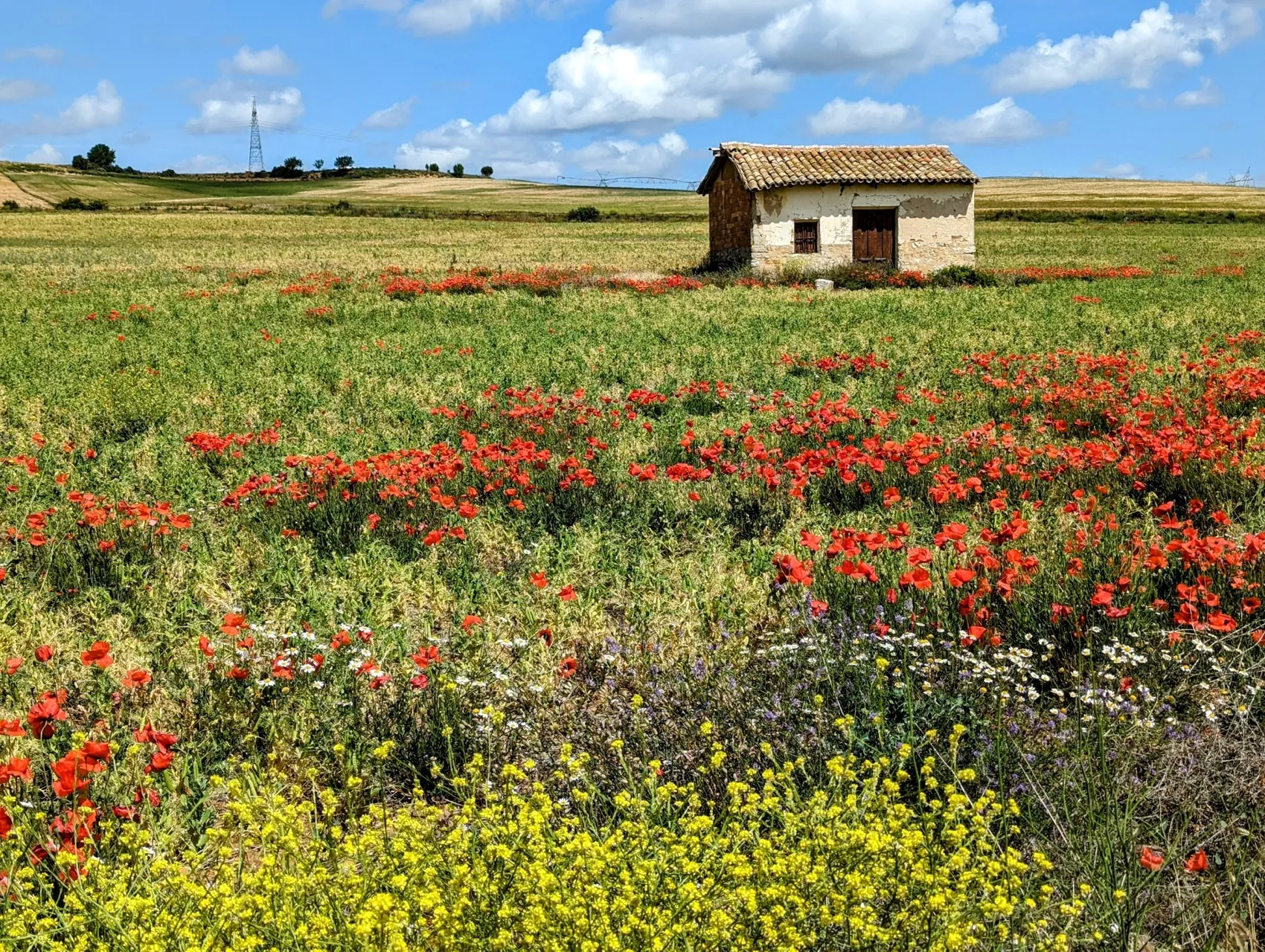 Etappe 69: Magaz de Pisuerga ⇒ Quintana del Puente - foto 3