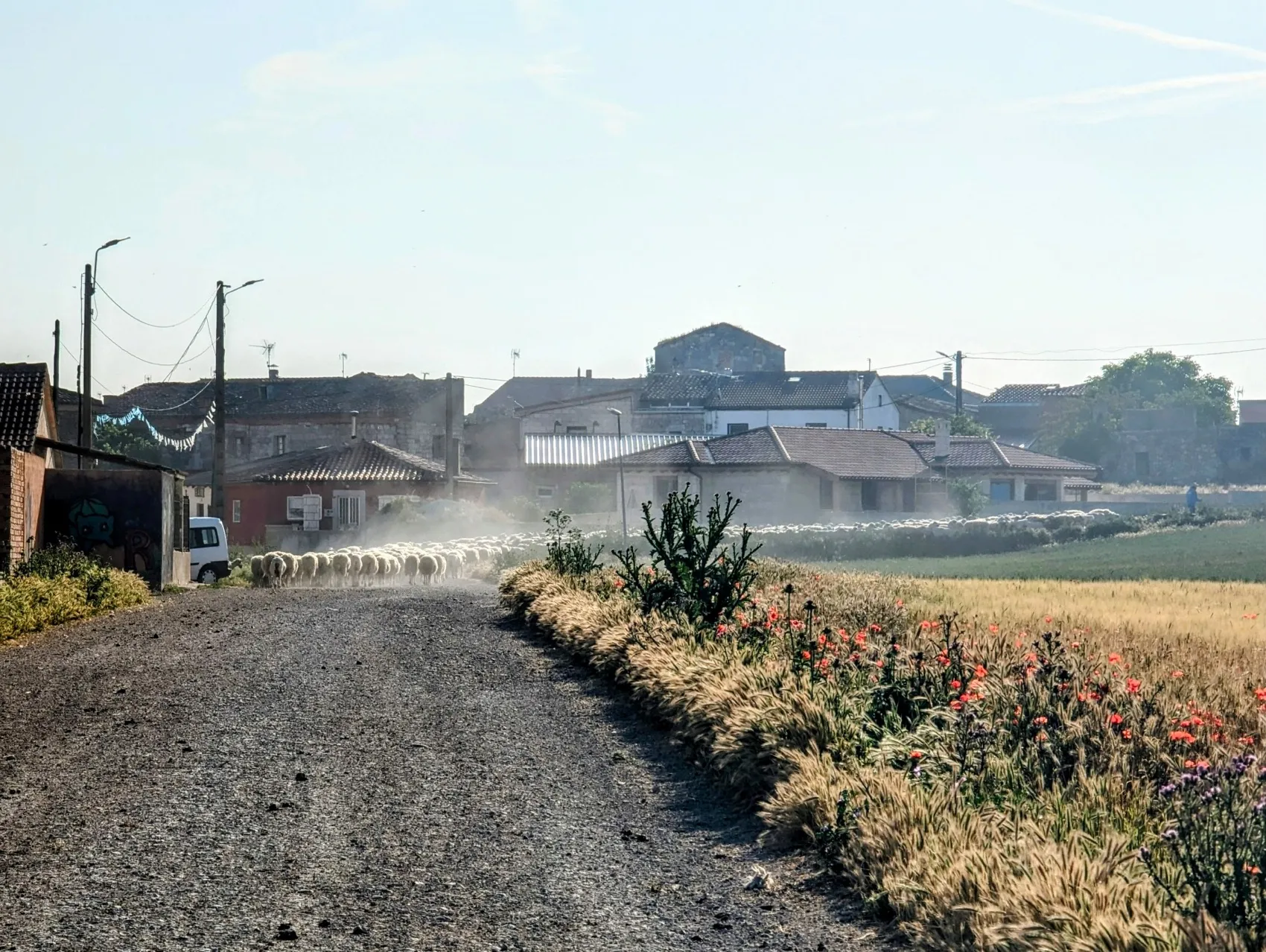 Etappe 71: Villodrigo ⇒ Estépar - foto 1