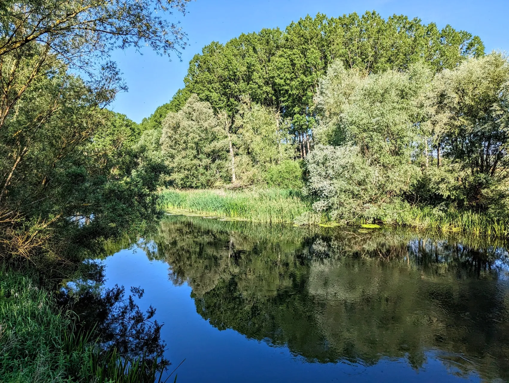 Etappe 71: Villodrigo ⇒ Estépar - foto 3