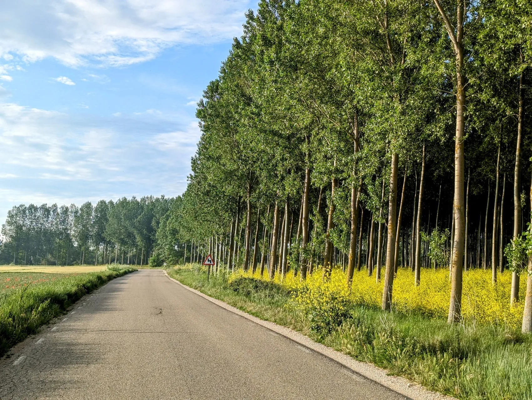 Etappe 72: Estépar ⇒ Burgos - foto 1