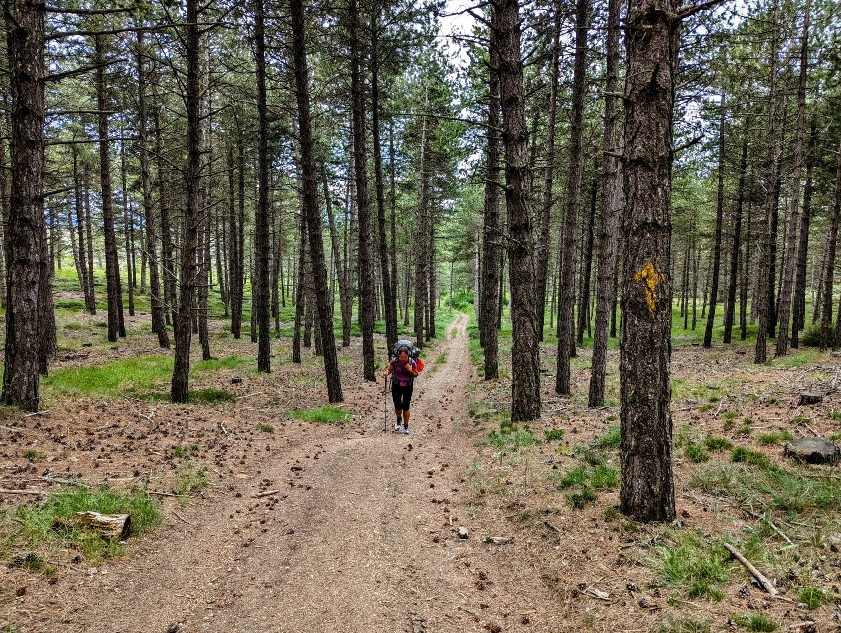 Etappe 73: Burgos ⇒ Monasterio de Rodilla - foto 4