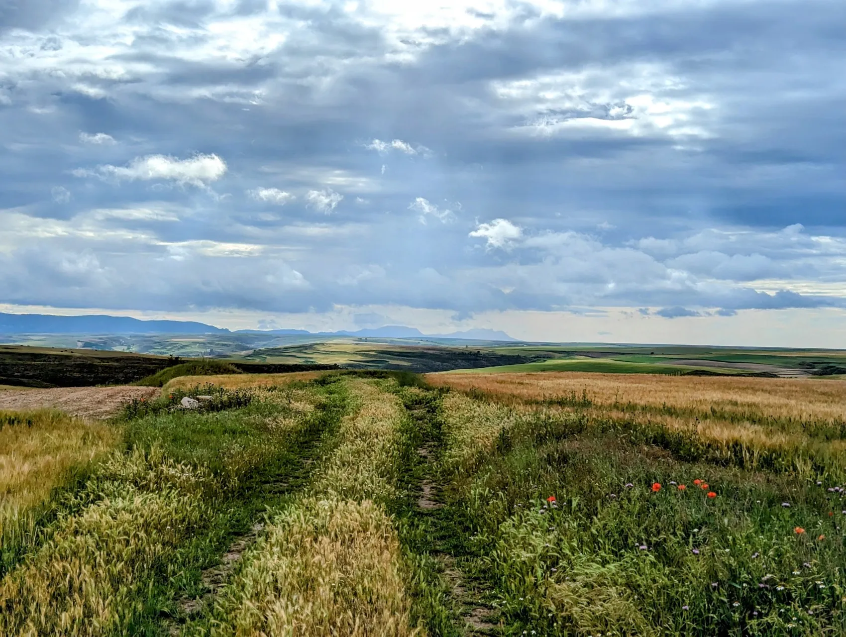 Etappe 75: Briviesca ⇒ Pancorbo - foto 2