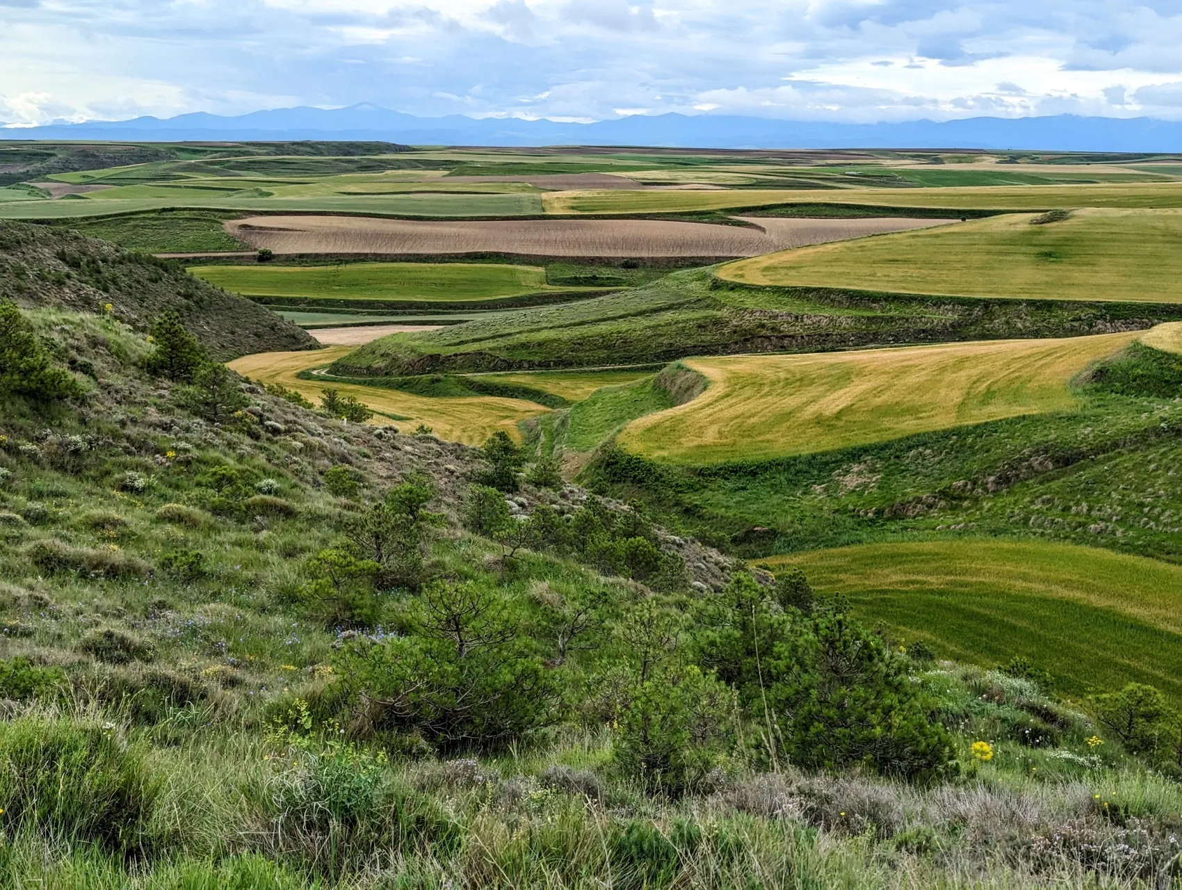 Etappe 75: Briviesca ⇒ Pancorbo - foto 3