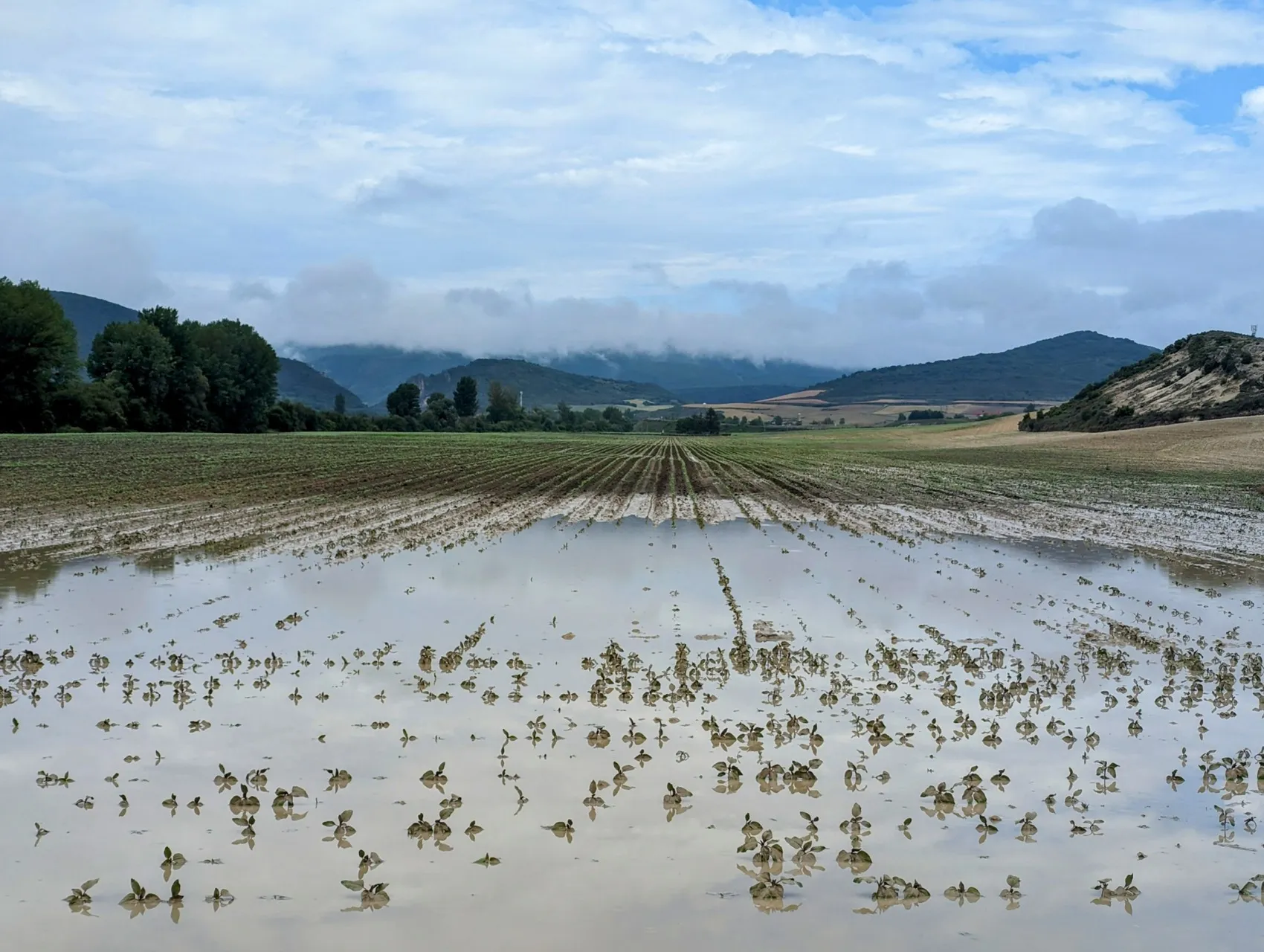 Stage 76: Pancorbo ⇒ Miranda de Ebro - photo 4