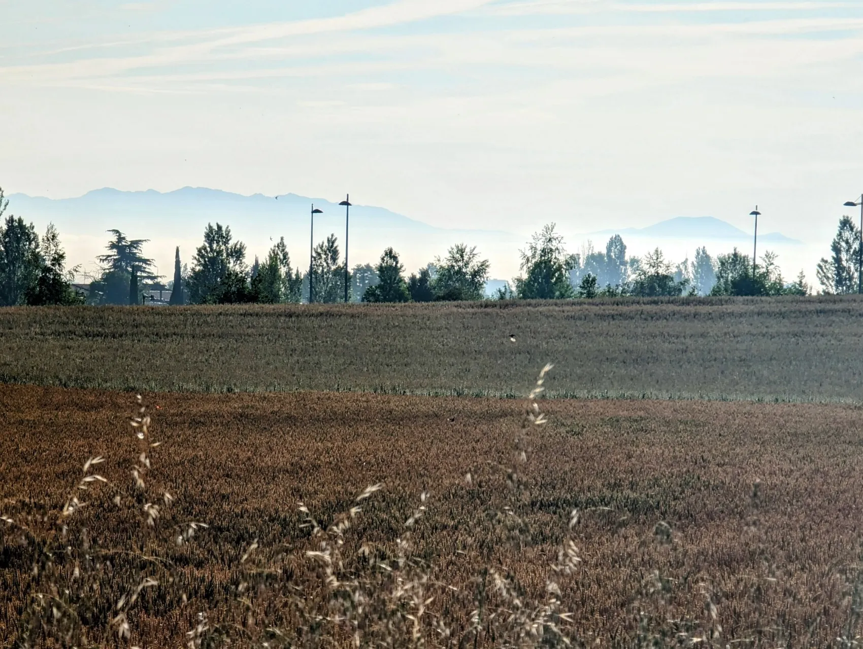 Stage 79: Gometxa ⇒ Dulantzi / Alegría - photo 1