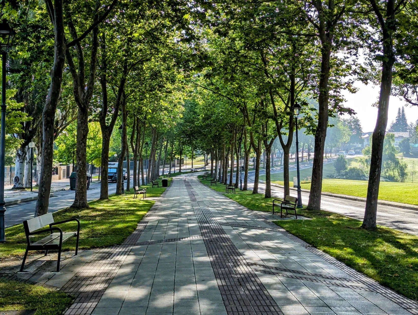 Stage 79: Gometxa ⇒ Dulantzi / Alegría - photo 2