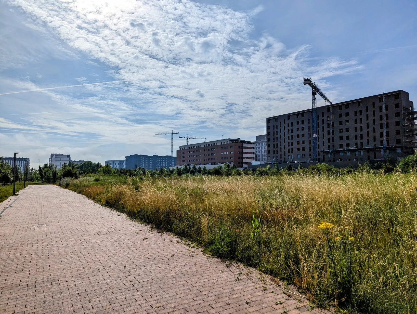 Stage 79: Gometxa ⇒ Dulantzi / Alegría - photo 3