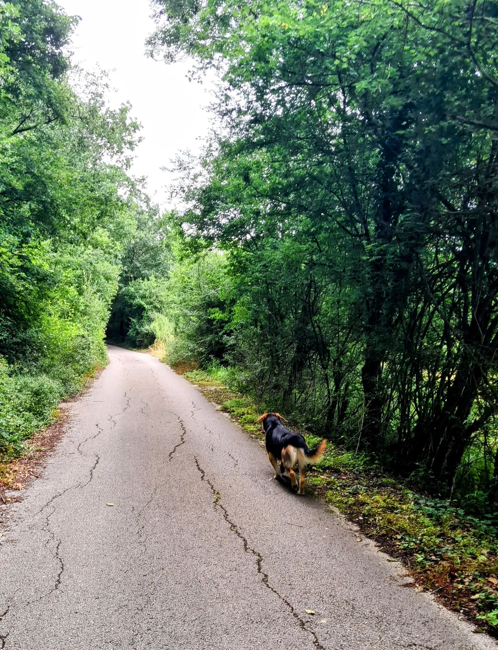 Etappe 82: Etxarri-Aranatz ⇒ Irurtzun - foto 1