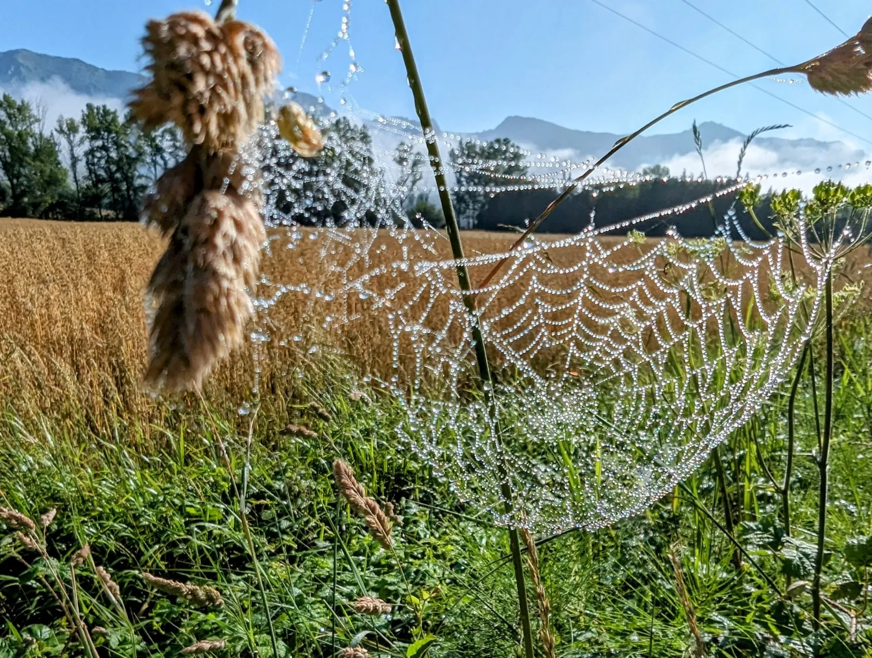 Etappe 81: Albeiz / Albéniz ⇒ Etxarri-Aranatz - foto 2