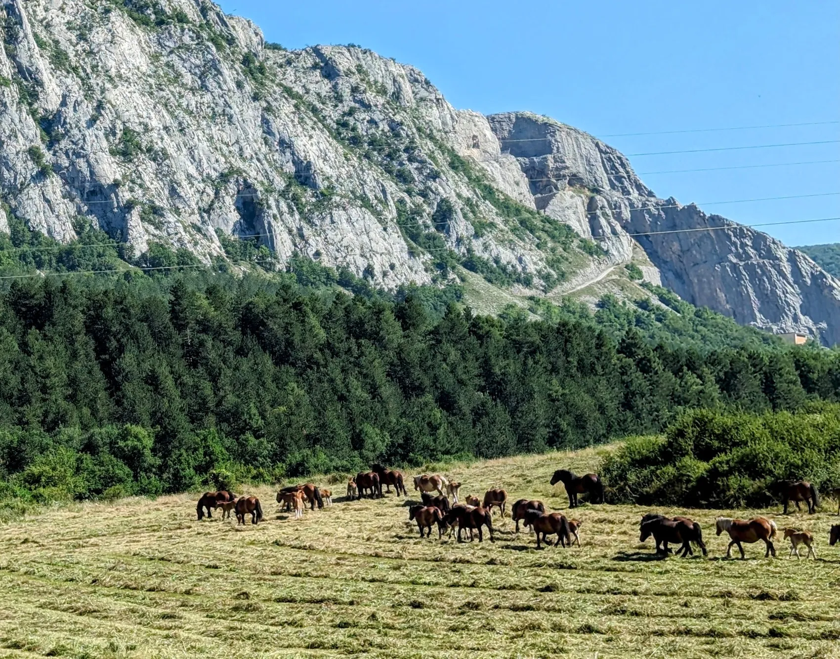 Etappe 81: Albeiz / Albéniz ⇒ Etxarri-Aranatz - foto 3