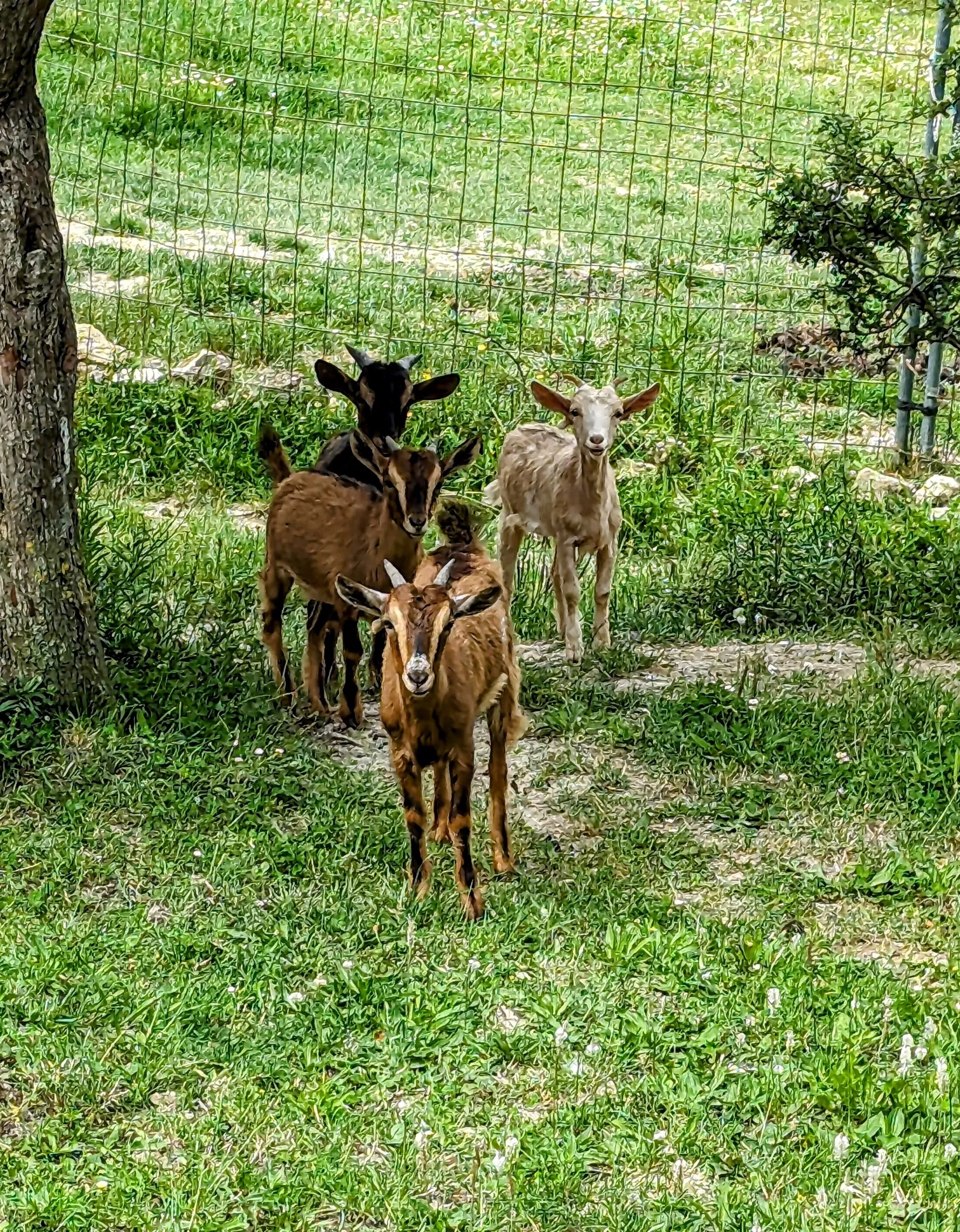 Etappe 83: Irurtzun ⇒ Pamplona / Iruña - foto 4