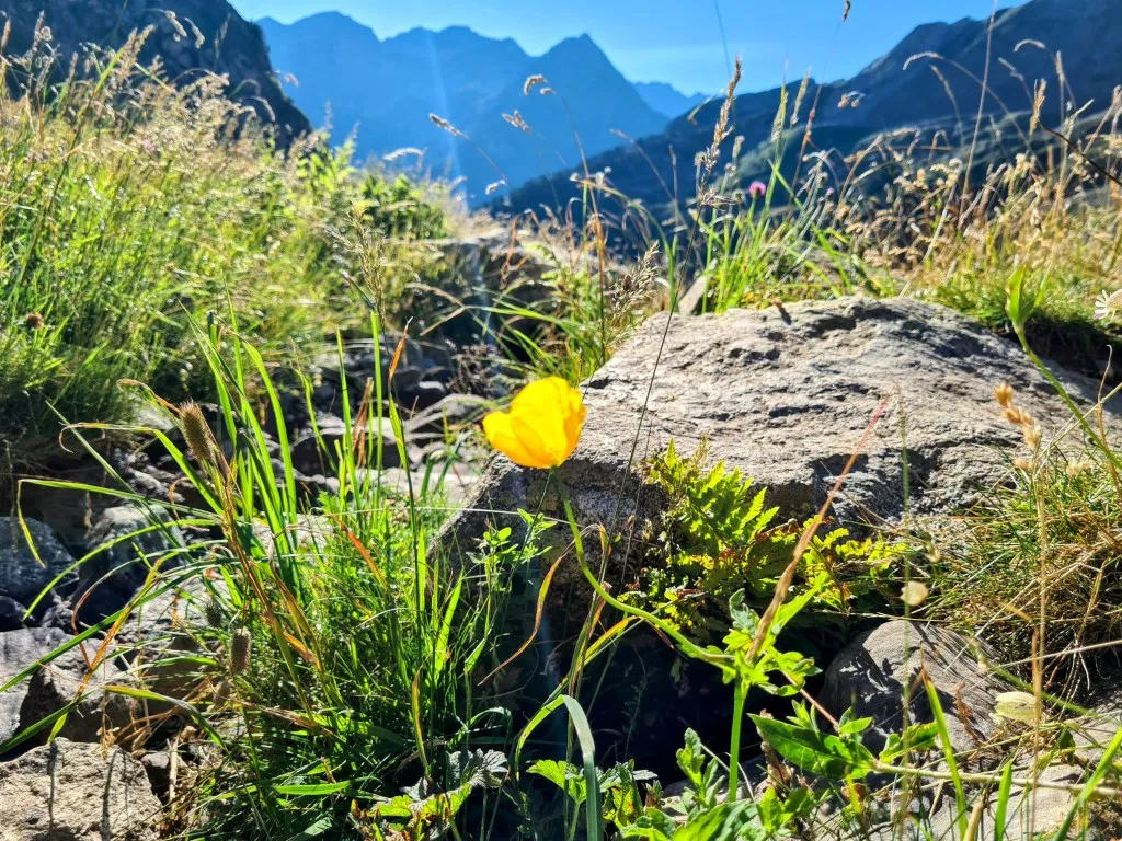 Stage 104: Tuc Mulleres ⇒ Refuge Conangles - photo 3