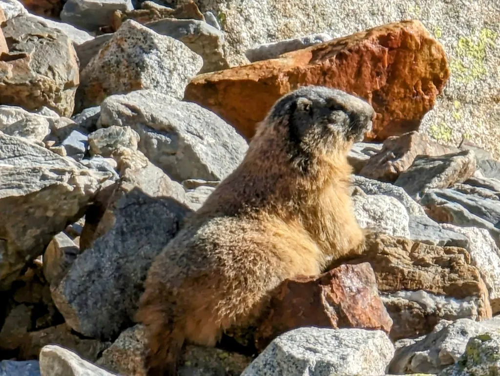 Stage 104: Tuc Mulleres ⇒ Refuge Conangles - photo 4