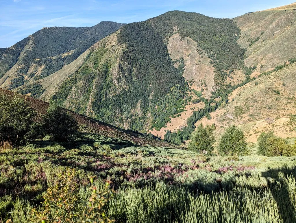 Etappe 110: Estahón ⇒ Tavascan - foto 4