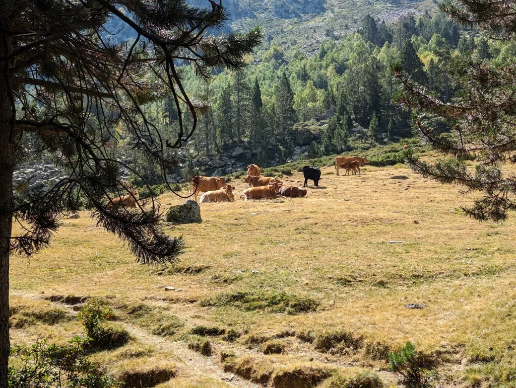 Etappe 112: Àreu ⇒ Arinsal (Andorra) - foto 3