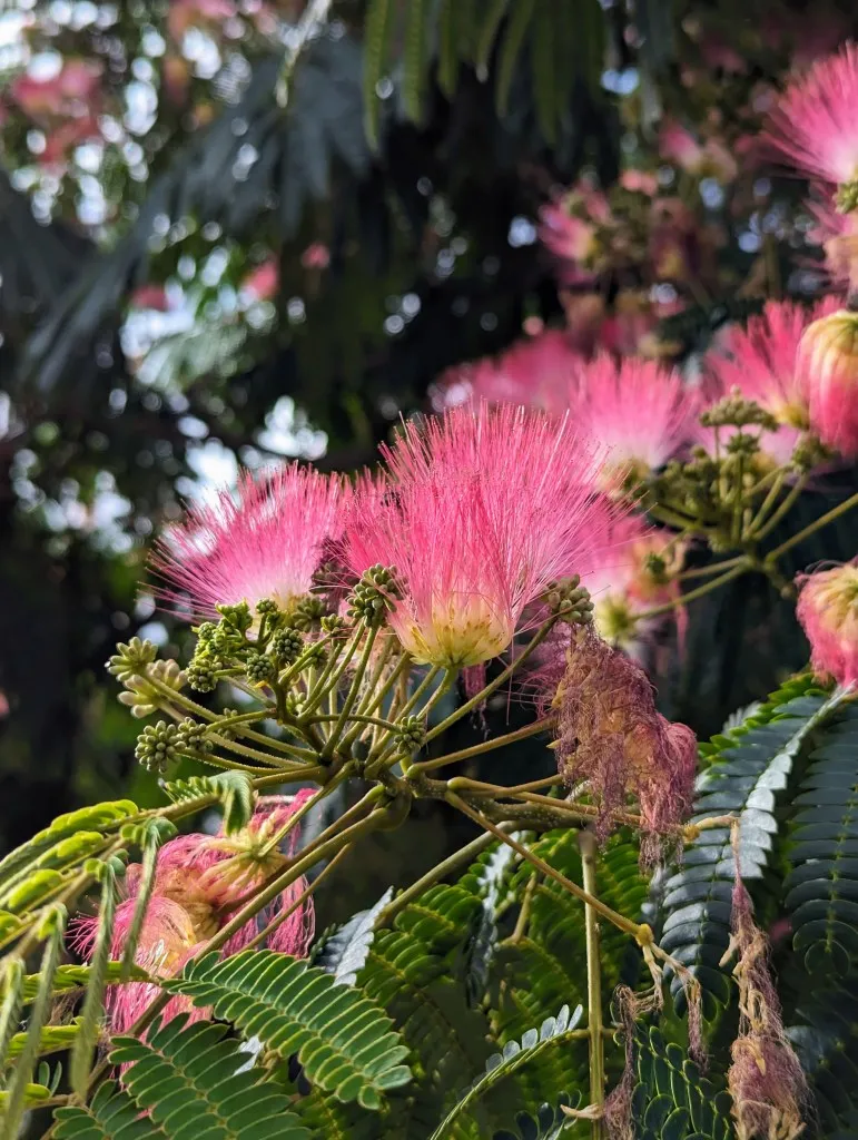 Etappe 84: Pamplona / Iruña ⇒ Zubiri - foto 3