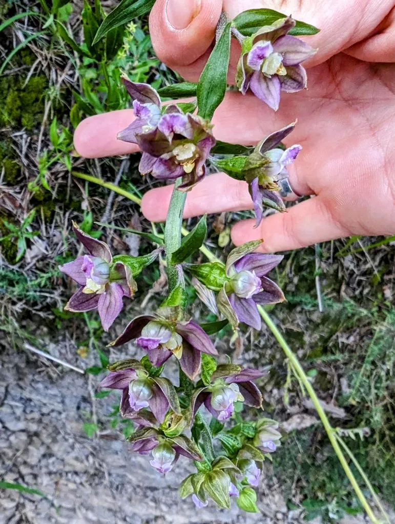 Etappe 85: Zubiri ⇒ Aurizberri - foto 1