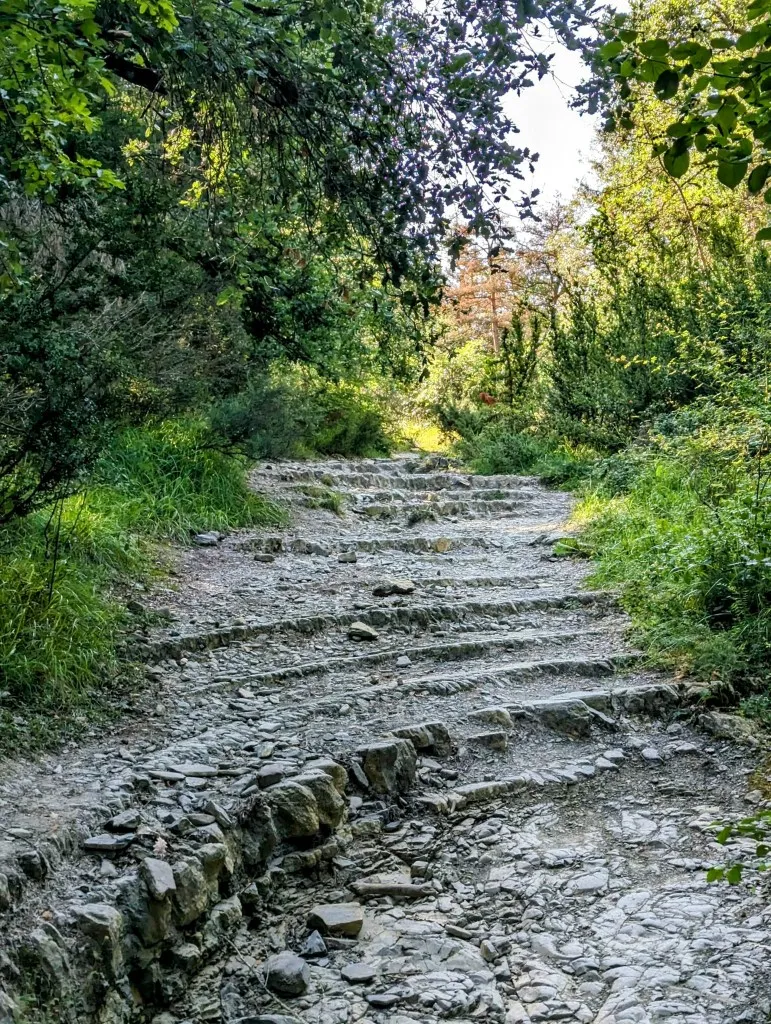 Etappe 85: Zubiri ⇒ Aurizberri - foto 2