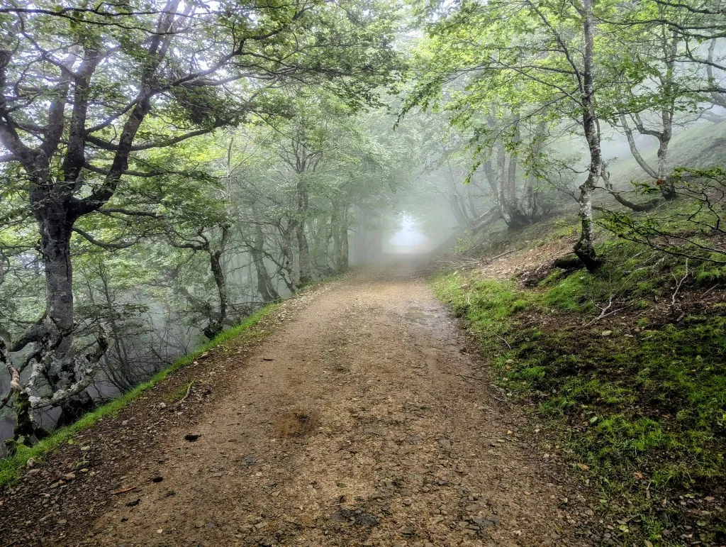 Etappe 86: Aurizberri ⇒ Estérençuby - foto 4