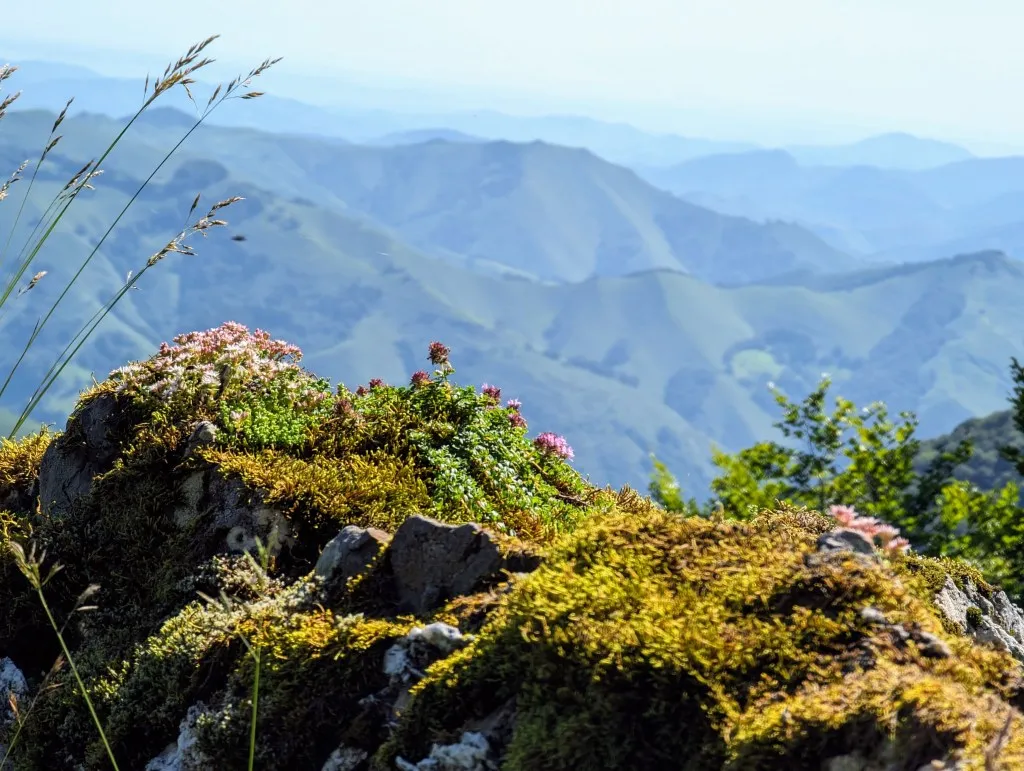 Etappe 88: Chalets d'Iraty ⇒ Ardané - foto 2