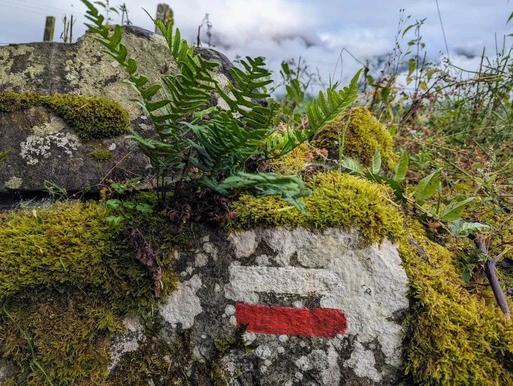 Etappe 91: Lescun ⇒ Col de lapachouaou - foto 1