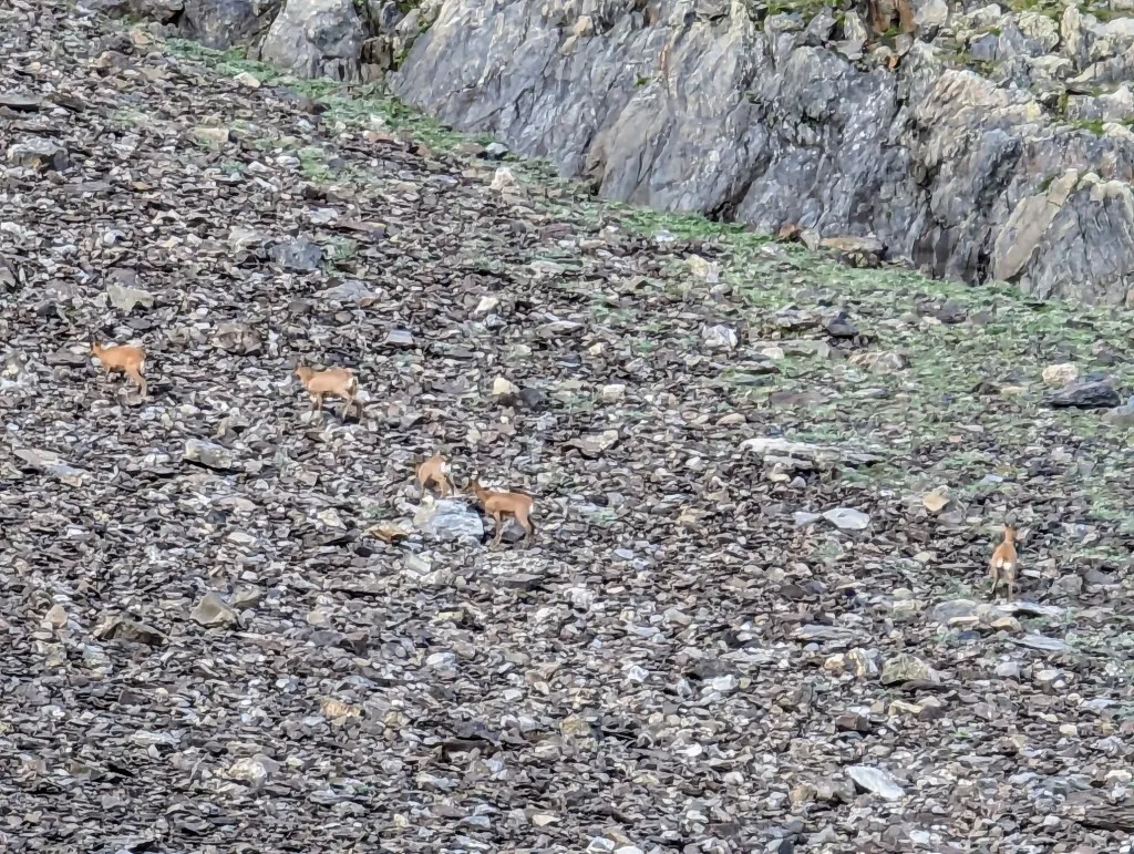 Etappe 95: Majada de Llena Cantal ⇒ Baños de Panticosa - foto 1
