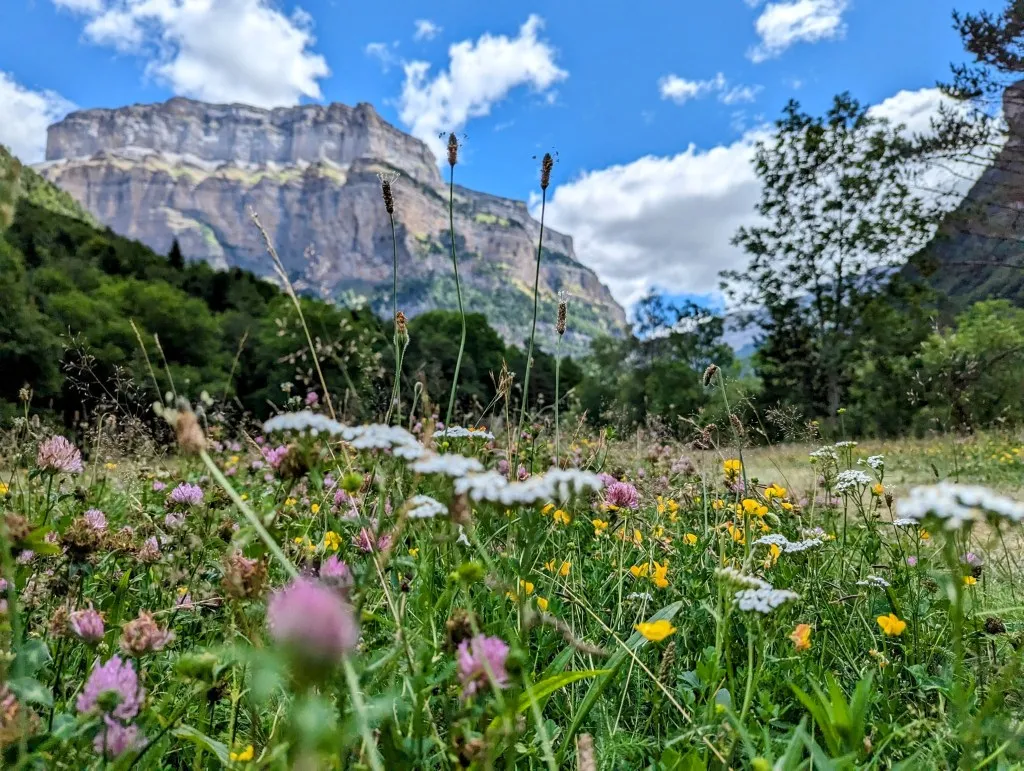 Etappe 97: Bujaruelo ⇒ Col de Arrablo - foto 2