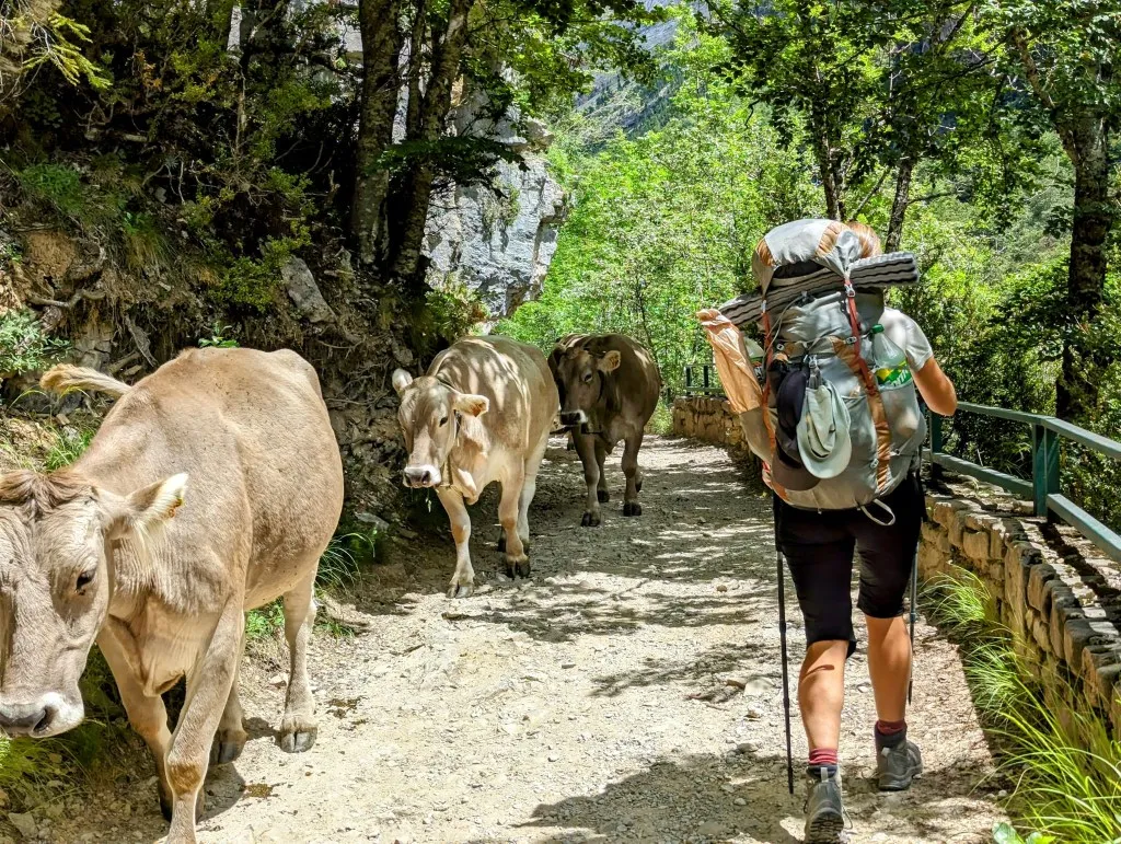 Etappe 97: Bujaruelo ⇒ Col de Arrablo - foto 3