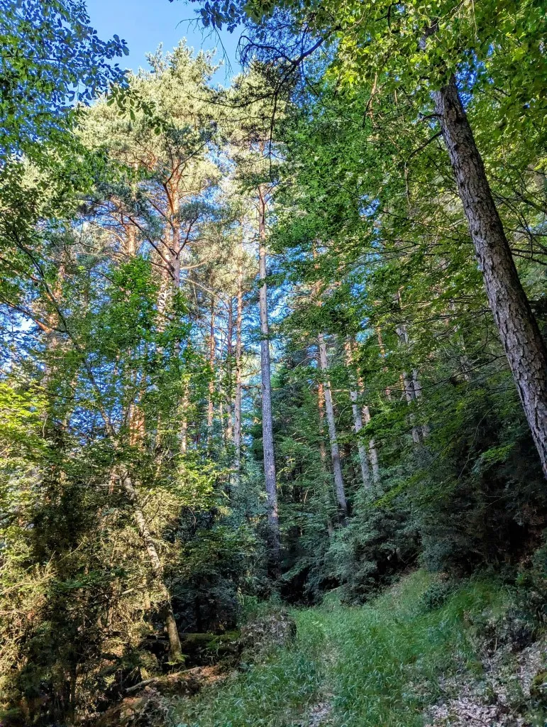 Etappe 99: Espierba ⇒ Parzán - foto 1